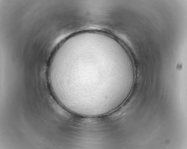 X0000090431404200708101955