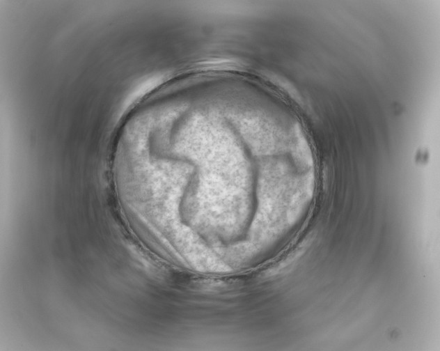 X0000090431405200708101955