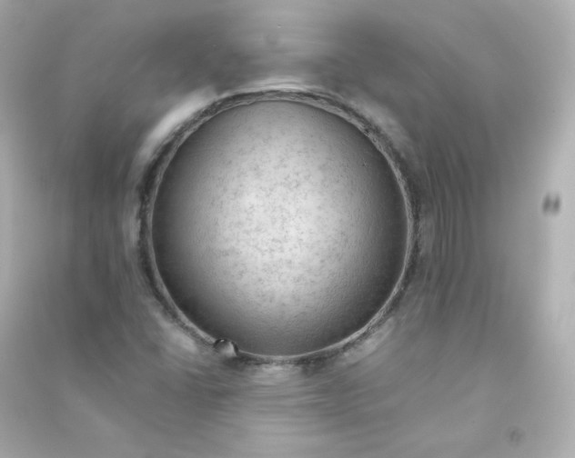 X0000090431406200708101955