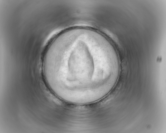 X0000090431408200708101955