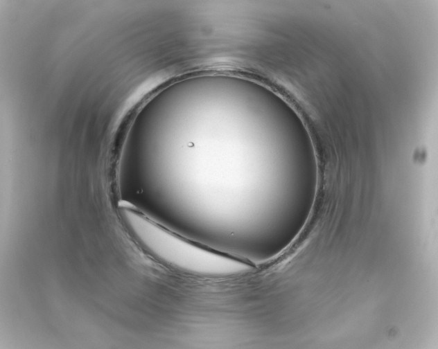 X0000090431410200708101955