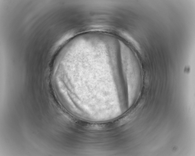 X0000090431411200708101955