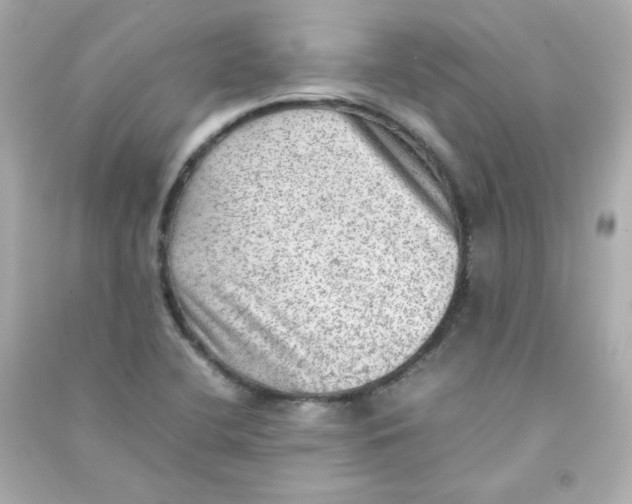 X0000090431412200708101955