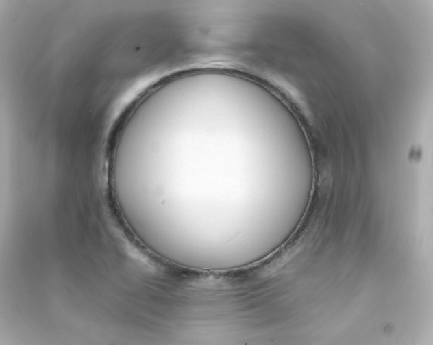 X0000090431414200708101955
