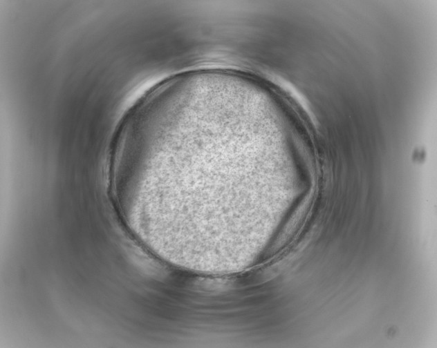 X0000090431415200708101955