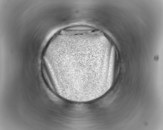X0000090431416200708101955