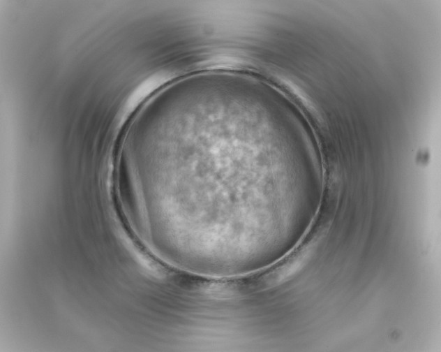 X0000090431418200708101955