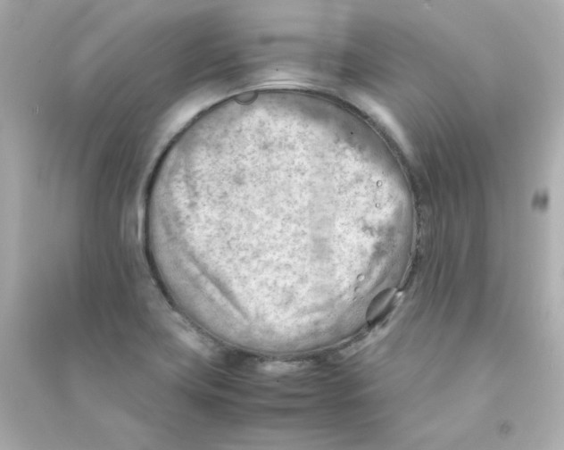 X0000090431419200708101955