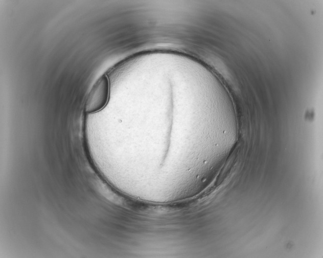 X0000090431420200708101955