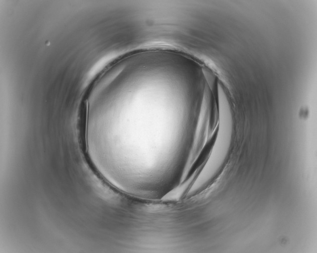 X0000090431422200708101955