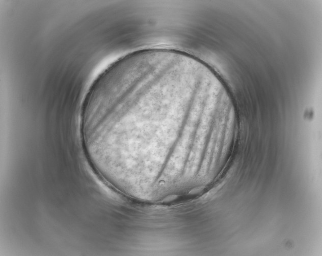X0000090431424200708101955