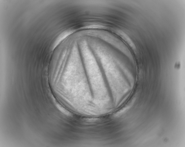 X0000090431425200708101955