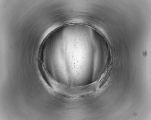 X0000090431426200708101955