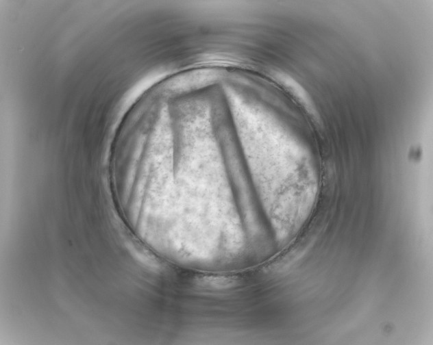 X0000090431427200708101955