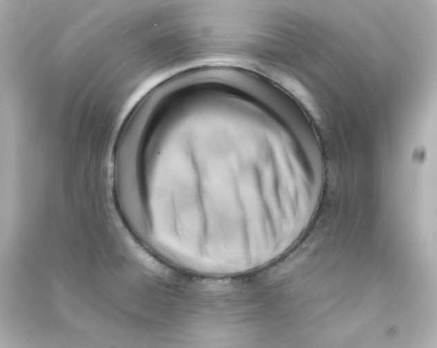 X0000090431428200708101955