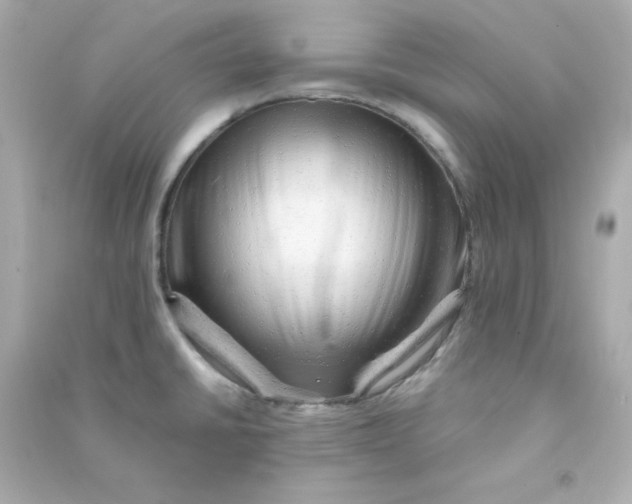 X0000090431430200708101955