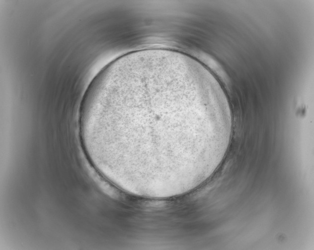 X0000090431431200708101955