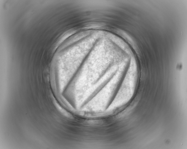 X0000090431433200708101955