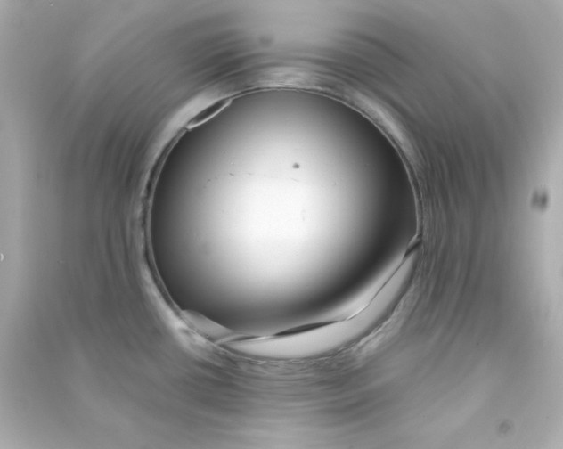 X0000090431434200708101955