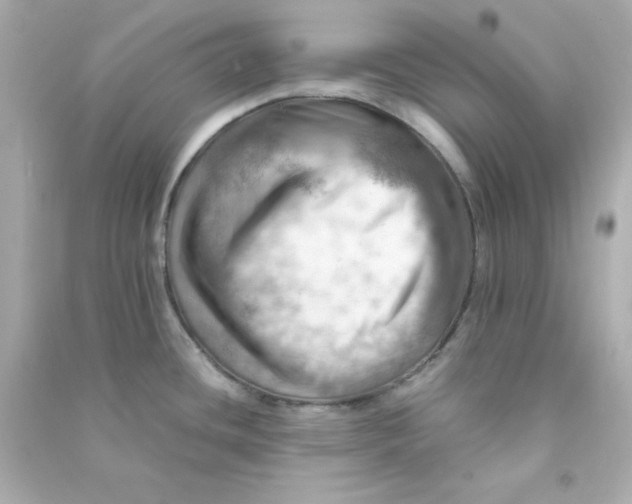 X0000090431436200708101955