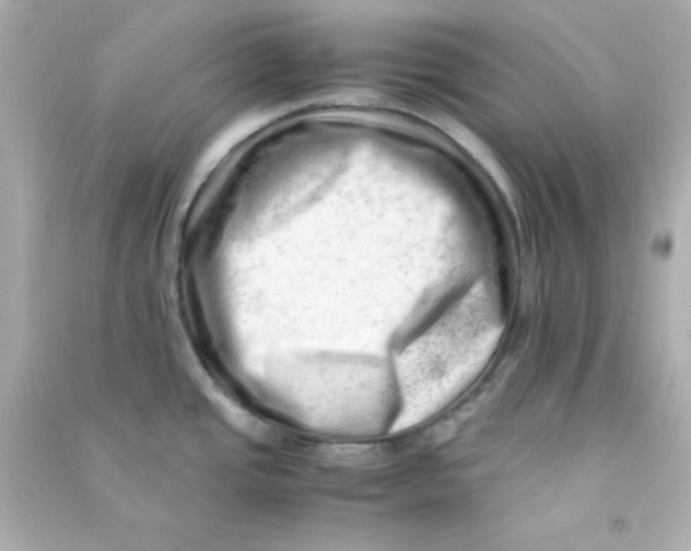X0000090431437200708101955