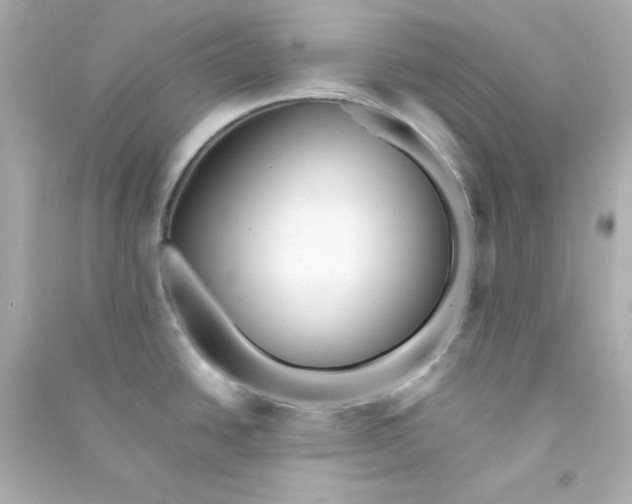 X0000090431438200708101955