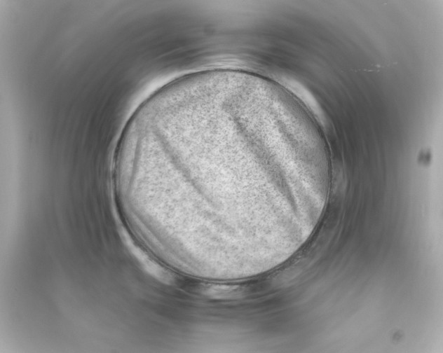 X0000090431439200708101955