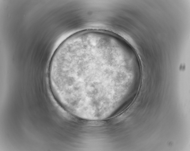 X0000090431440200708101955