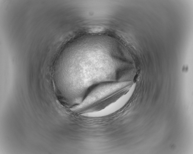 X0000090431441200708101955