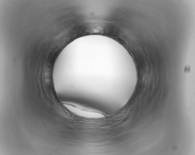 X0000090431442200708101955