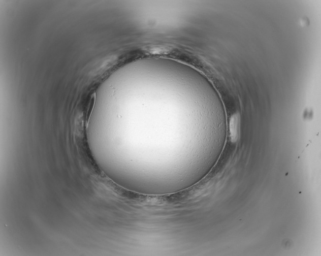 X0000090431443200708101955
