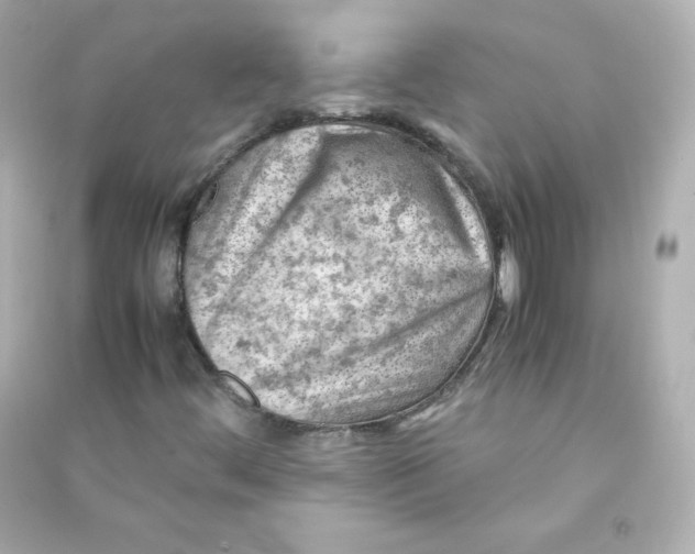 X0000090431444200708101955
