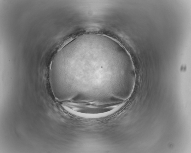 X0000090431445200708101954