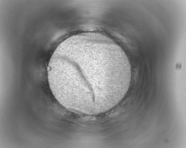 X0000090431446200708101954