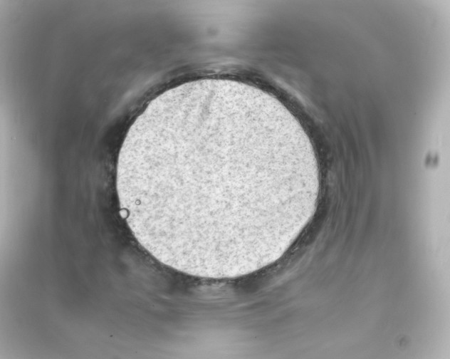 X0000090431447200708101954