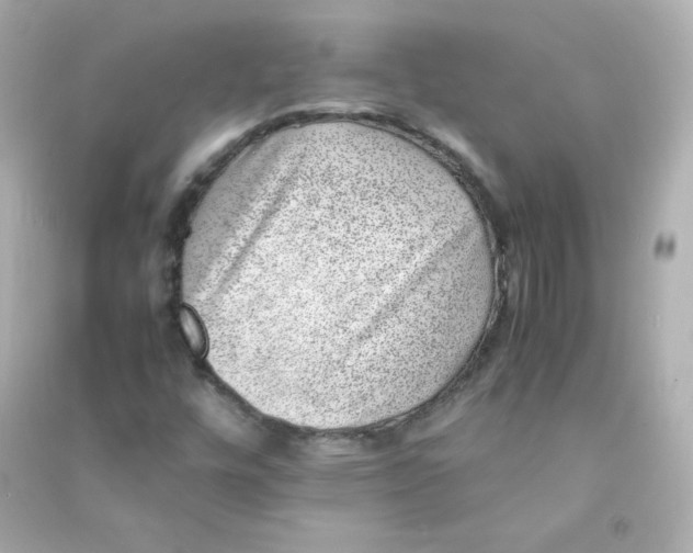 X0000090431448200708101954