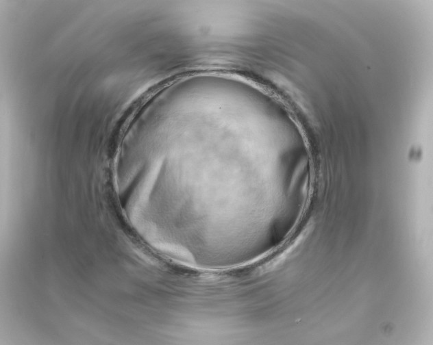 X0000090431449200708101954