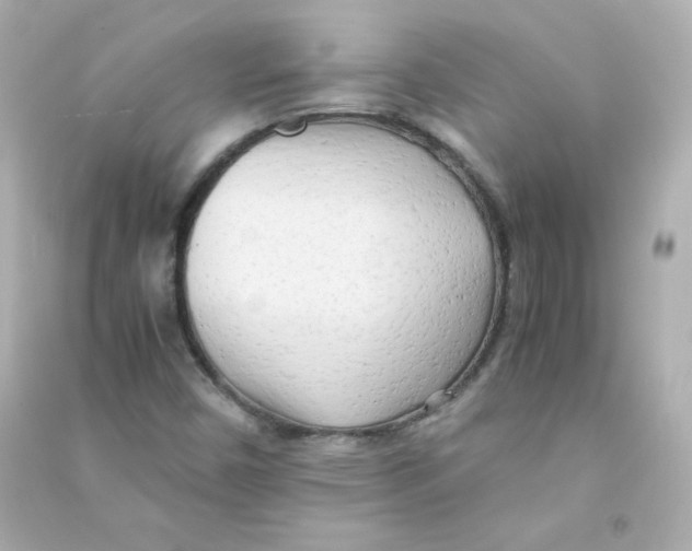 X0000090431450200708101954