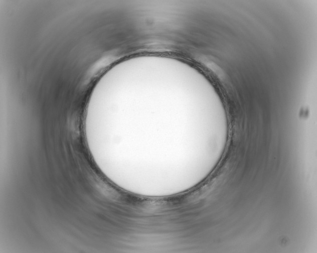 X0000090431451200708101954