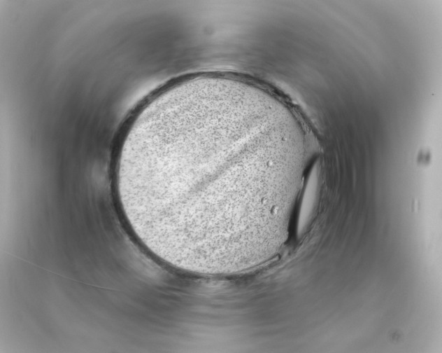 X0000090431452200708101954