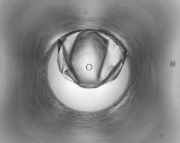 X0000090431453200708101954