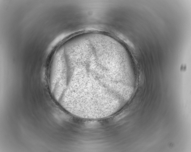 X0000090431454200708101954