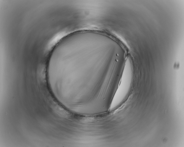 X0000090431455200708101954