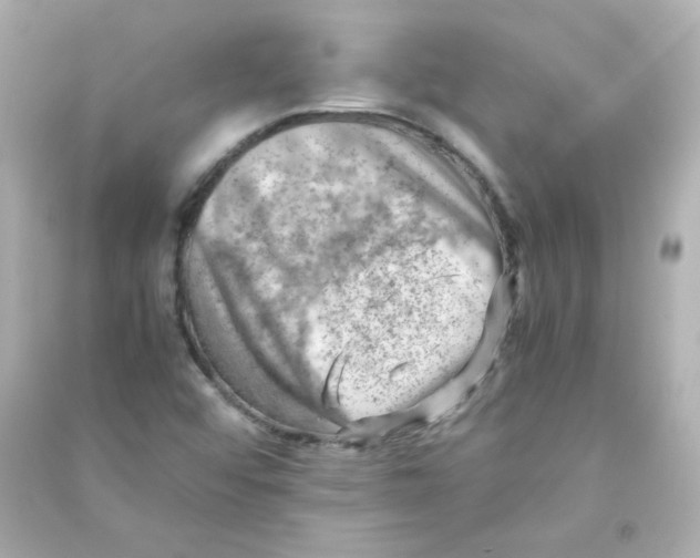 X0000090431456200708101954