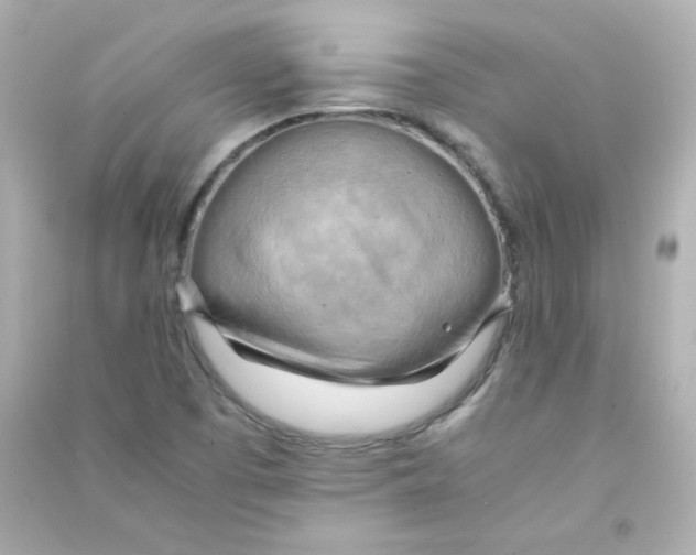 X0000090431457200708101954