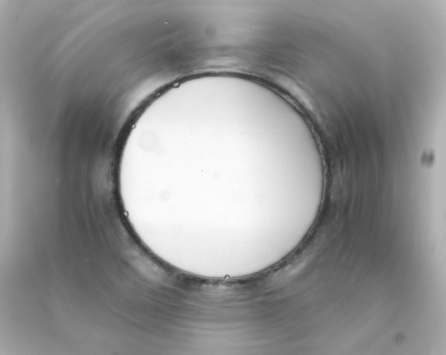 X0000090431458200708101954