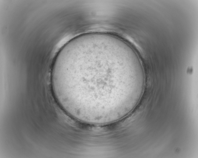 X0000090431459200708101954