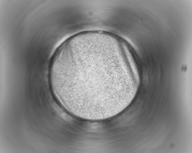X0000090431460200708101954
