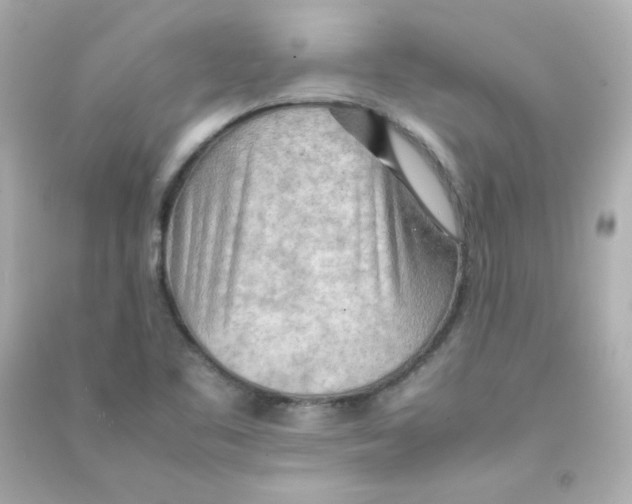 X0000090431461200708101954