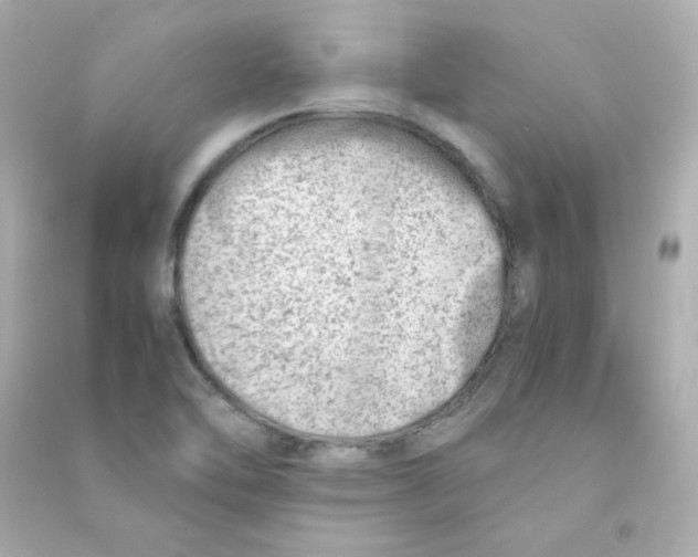 X0000090431462200708101954